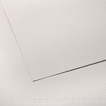 Бумага для черчения и графики Canson C agrain, среднее зерно, 224 гр/м2, 50 x 65 см
